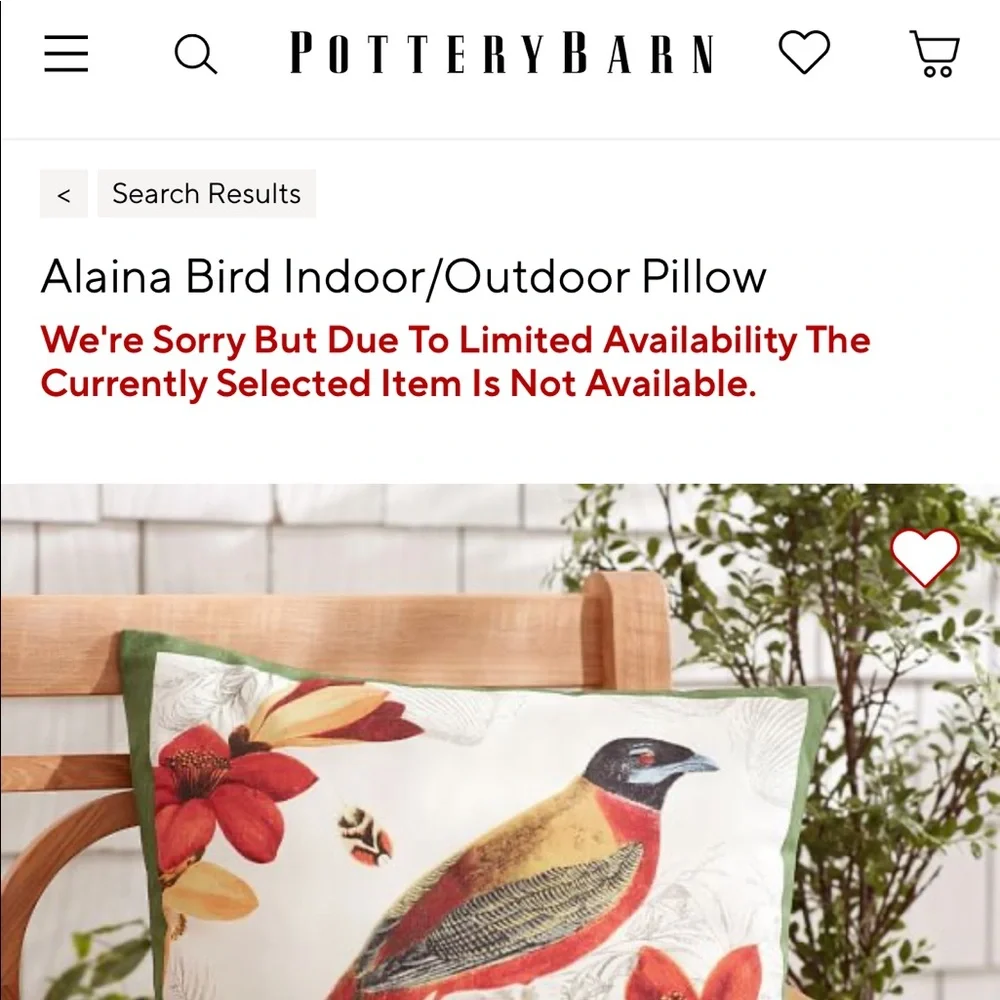 Pottery Barn Alaina Bird Large 20x20 Indoor/Outdoor Pillow with Florals … - Picture 14 of 15